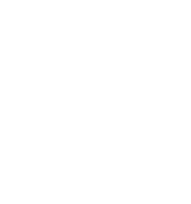 decorative background shape